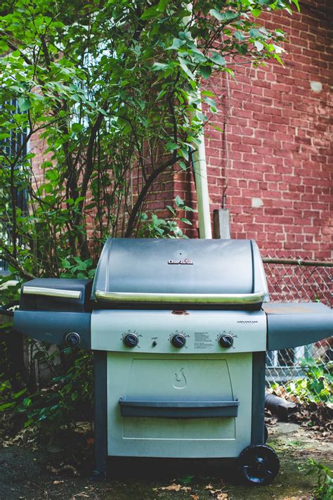 The Art of Charcoal Grilling: Mastering Your Fire Magic Grill